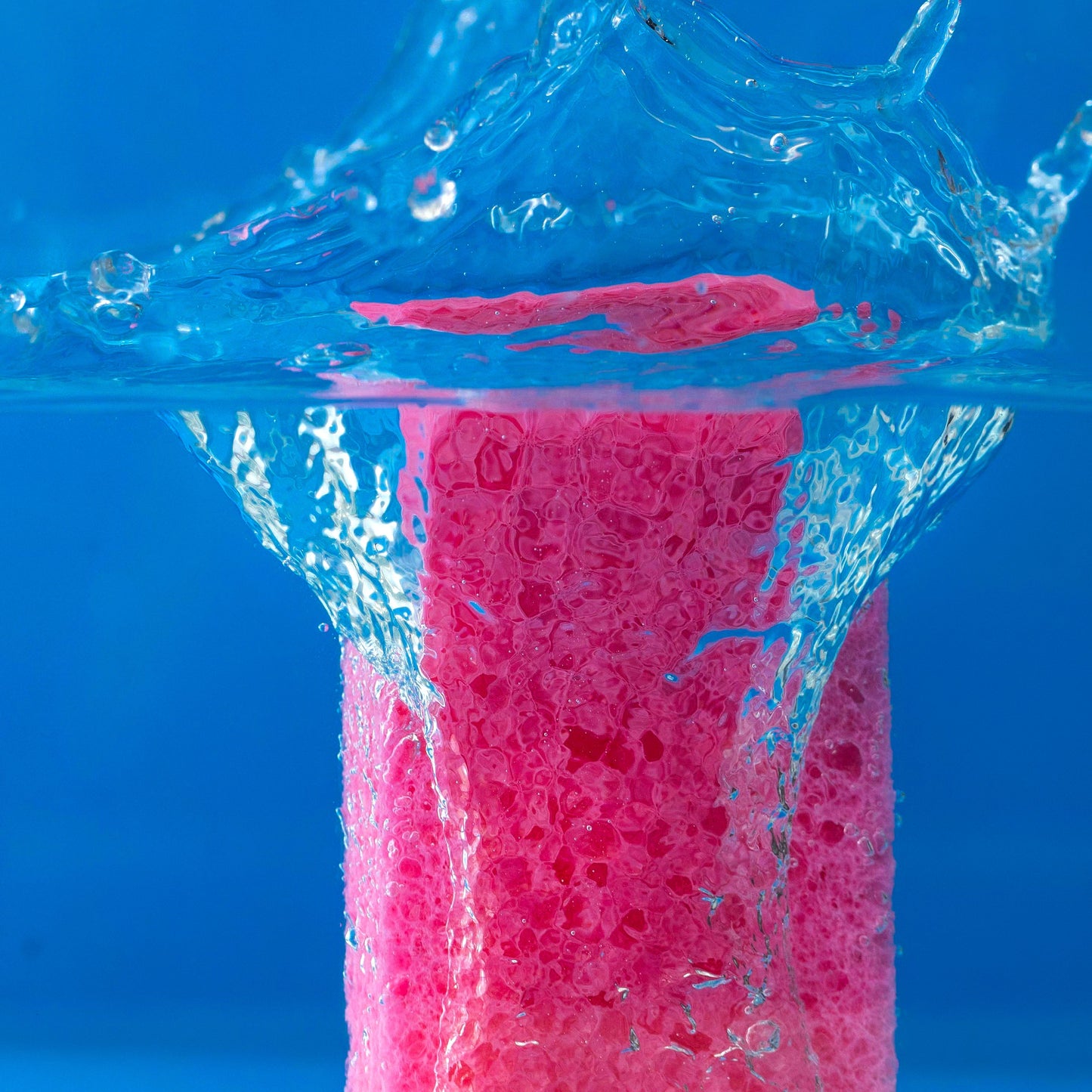 Esponja Comprimida de Celulosa - 3 unidades