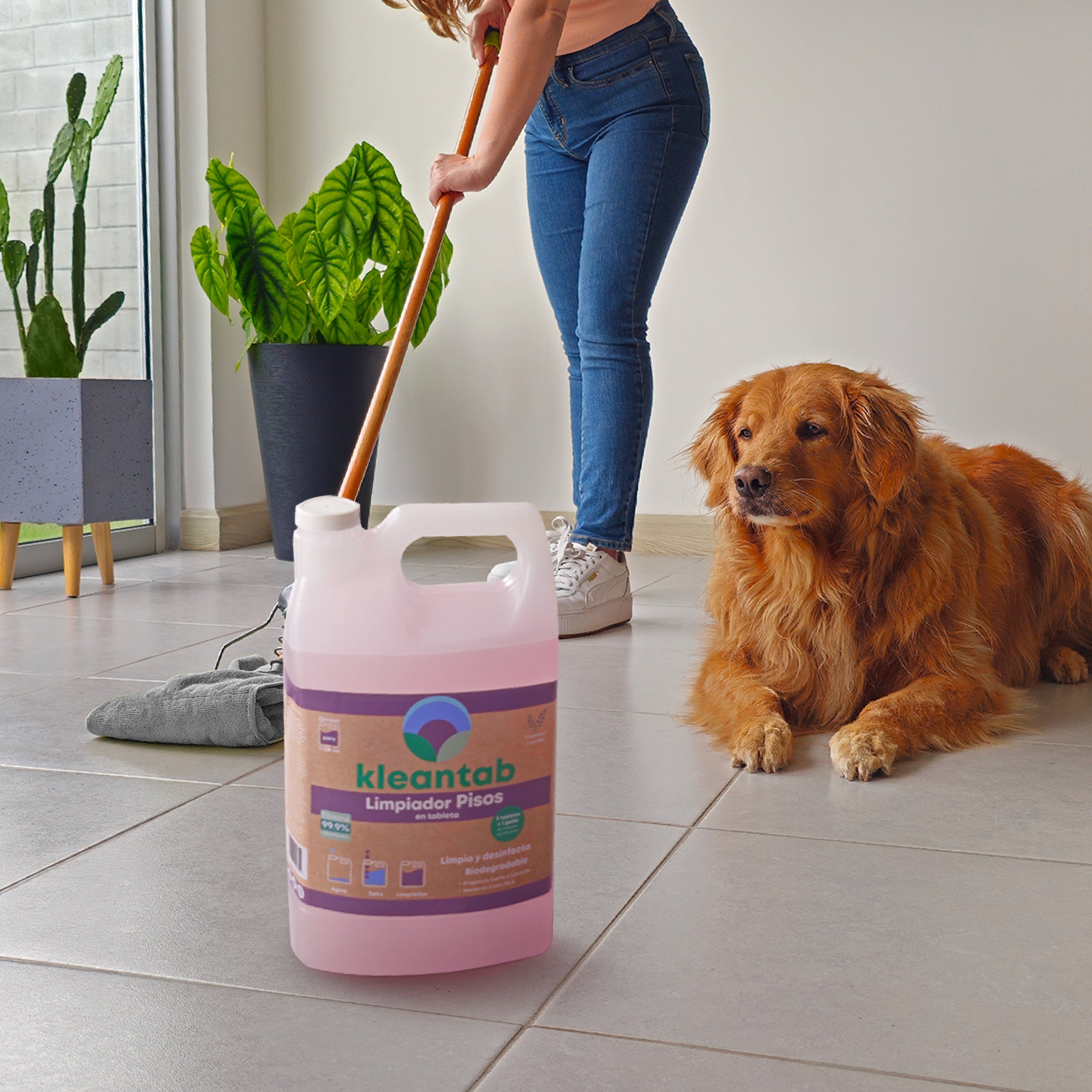 LIMPIADOR DE PISOS EN TABLETA - 300-500 UNIDADES